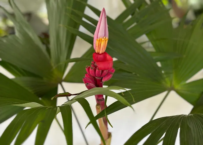 Pousada Recanto Itagua